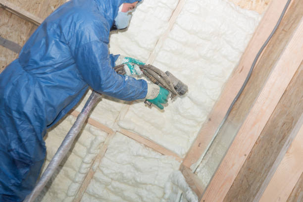 Geistown, PA Insulation Installation & Removal Company